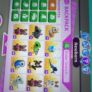 adopt me mega bundle