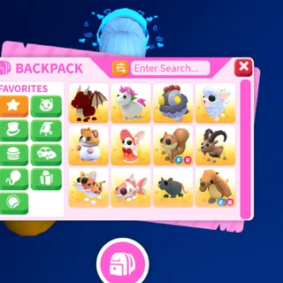 pet bundle