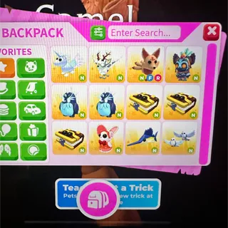 adopt me neon bundle