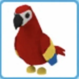 Pet