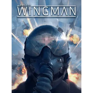 Project Wingman (steam key)
