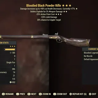 Weapon | BE25 Black Powder Rifle