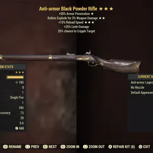 Weapon | AAE15 Black Powder Rifle