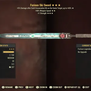 Weapon | F40SS1S ski sword