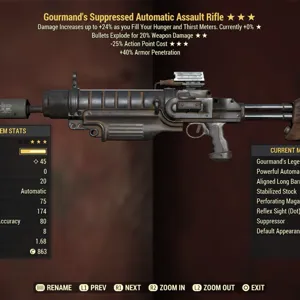 Weapon | GourE25 Assault Rifle