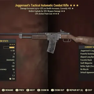 Weapon | JE25 Combat Rifle