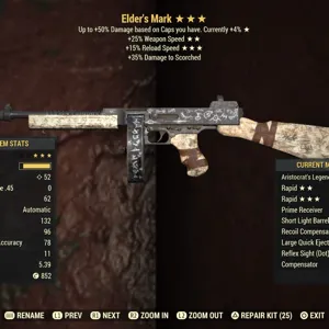 Weapon | Ar2515r Elders Mark