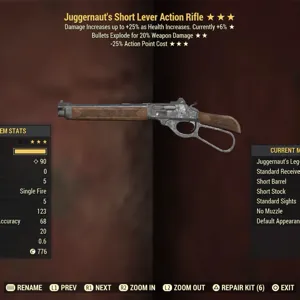 Weapon | JugE25 Lever Action