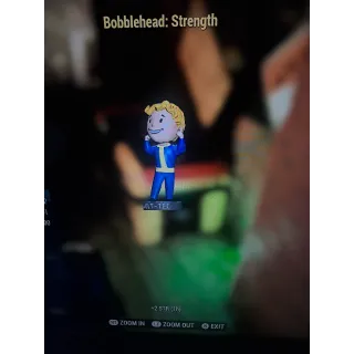 ×500 Bobblehead: Strength