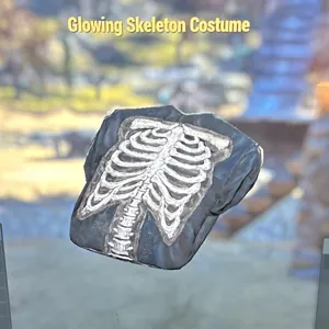 Glowing Skeleton Costume