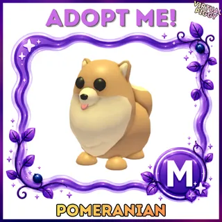 Mega Pomeranian