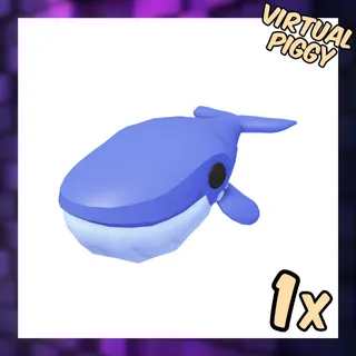 Blue Whale