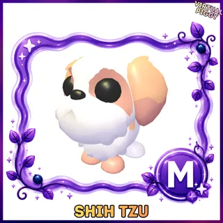 Mega Shih Tzu