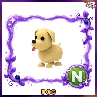 Neon Dog