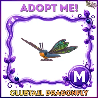 Mega Clubtail Dragonfly