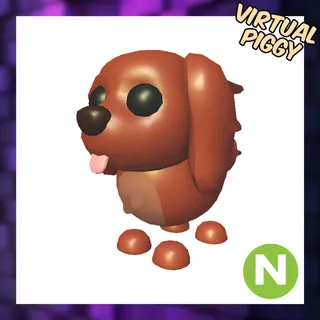 Neon Irish Setter