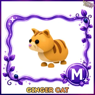 Mega Ginger Cat