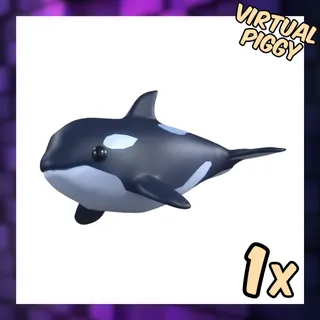 Orca