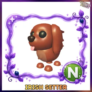 Neon Irish Setter