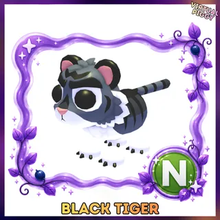 Neon Black Tiger