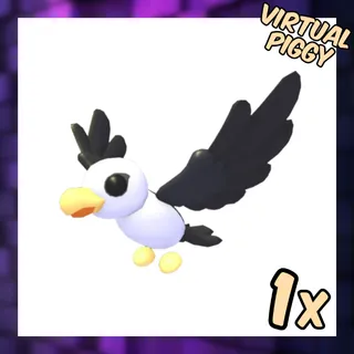 Pilot Gull