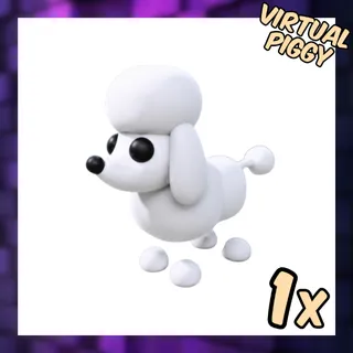Poodle