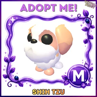 Mega Shih Tzu
