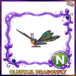 Neon Clubtail Dragonfly