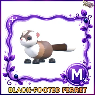 Mega Black-Footed Ferret