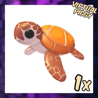 Sea Turtle