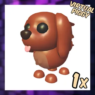 Irish Setter