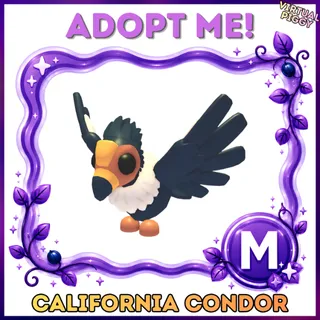 Mega California Condor