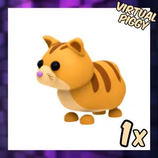 Ginger Cat