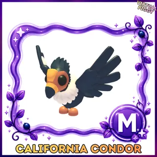 Mega California Condor