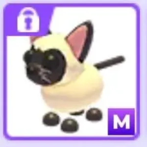 Mega siamese cat