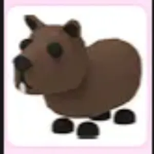 Capybara-Adopt Me