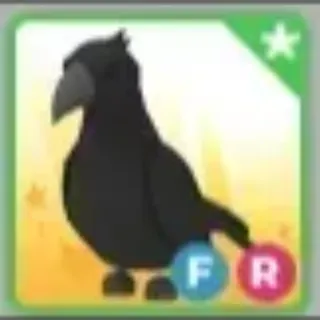 Crow-Adopt Me