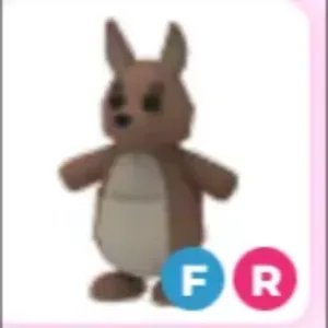 Kangaroo-Adopt me