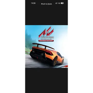 Assetto Corsa Ultimate Edition
