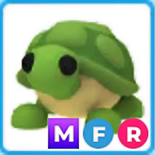 MFR Turtle