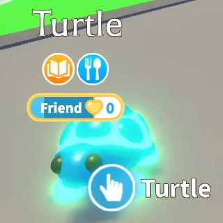 MFR Turtle