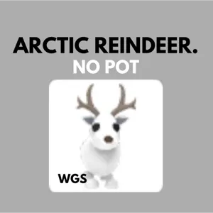 Arctic reindeer no pot