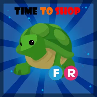 FR TURTLE