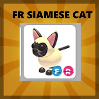 FR SIAMESE CAT - ADOPT ME