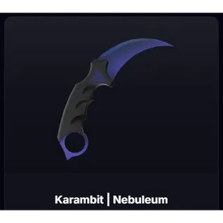 KARAMBIT NEBULEUM (SI) STANDARD ISSUE - SNIPER DUELS