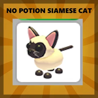 SIAMESE CAT - ADOPT ME