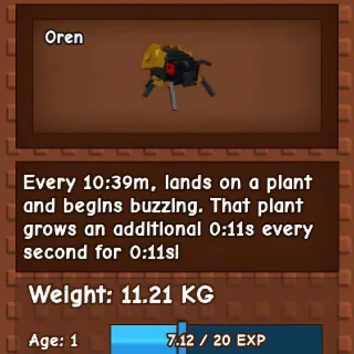 🏛🏛 Colossal 🏛🏛 Cicada🪲 11+kg Hatch 🐣
