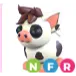 NFR MINI PIG