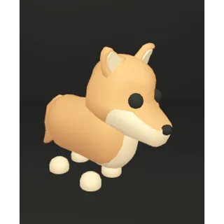 Dingo