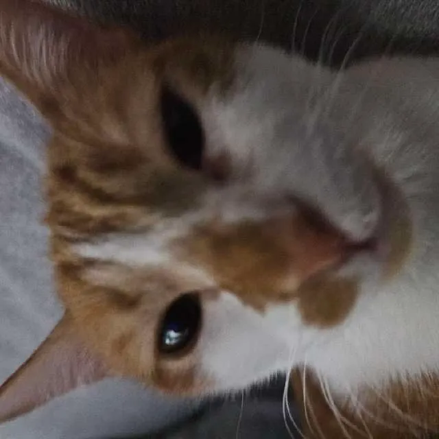 รายการภาพถ่าย